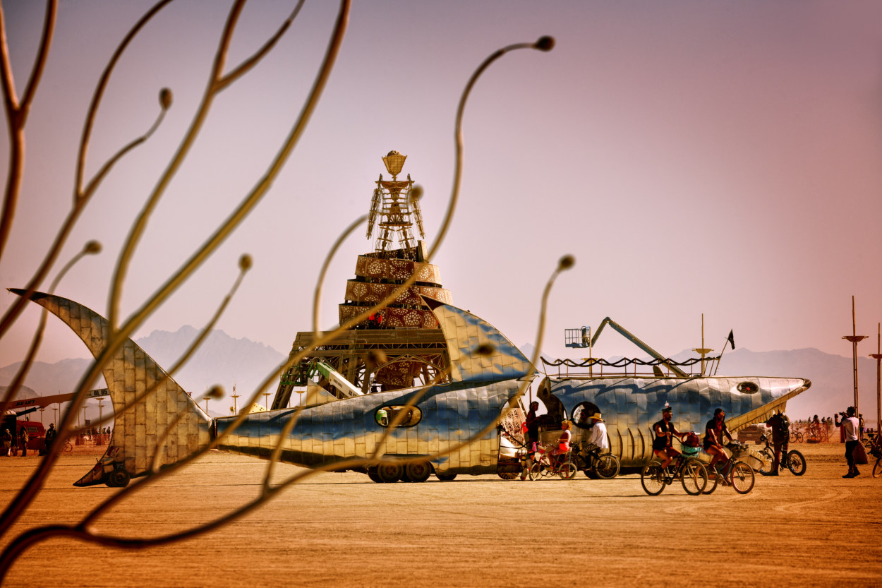 Burning Man 2019   1473